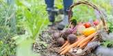 weet wat je eet