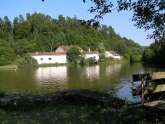 Forge neuve