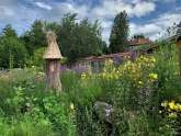planten-en kruidenweek