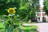 chateau
