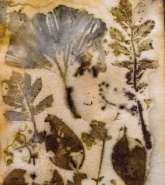 ecoprint
